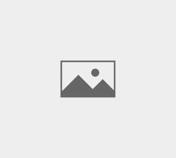 Loreum Ipsum