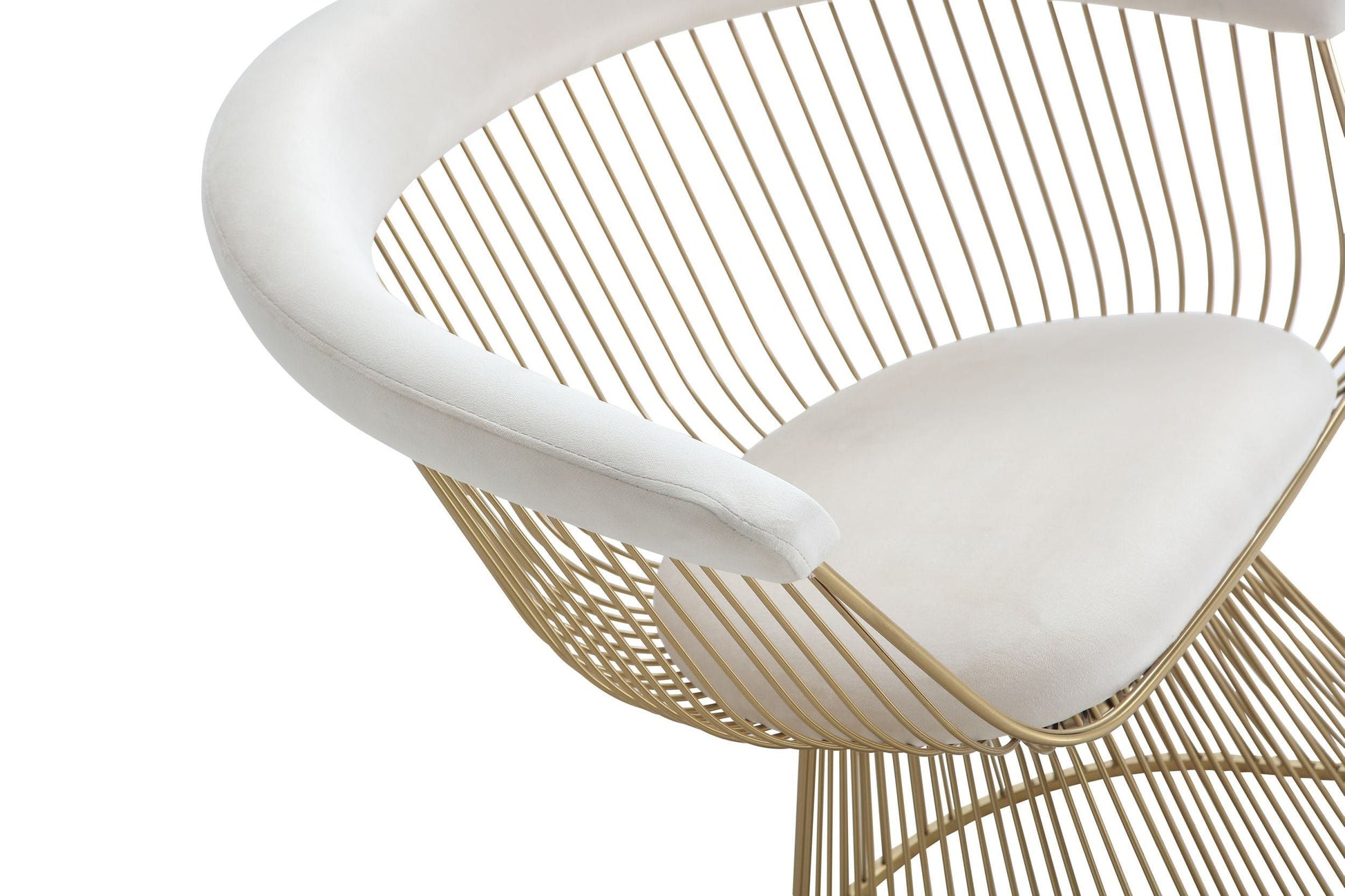 "Modrest Chandler Modern Beige Velvet & Gold Dining Chair - Elegant dining chair" | Vrxco.com